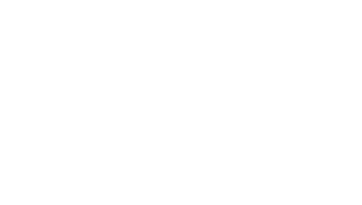 Ideas Fest